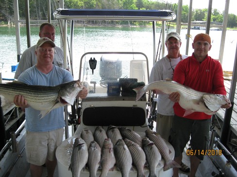 Nice Striped Bass